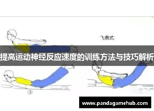 提高运动神经反应速度的训练方法与技巧解析