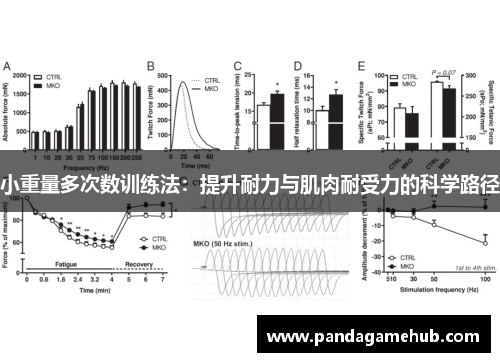 小重量多次数训练法：提升耐力与肌肉耐受力的科学路径