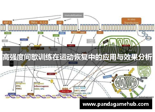 高强度间歇训练在运动恢复中的应用与效果分析
