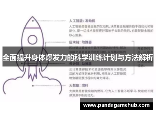 全面提升身体爆发力的科学训练计划与方法解析